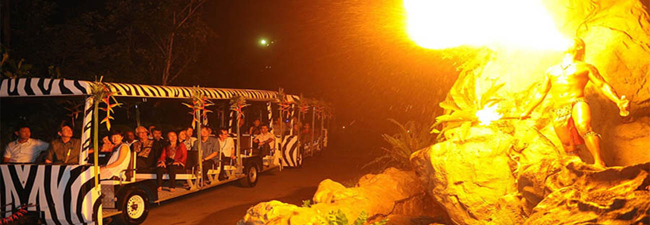 Visit Night Safari Singapore Book Night Safari Singapore Ticket