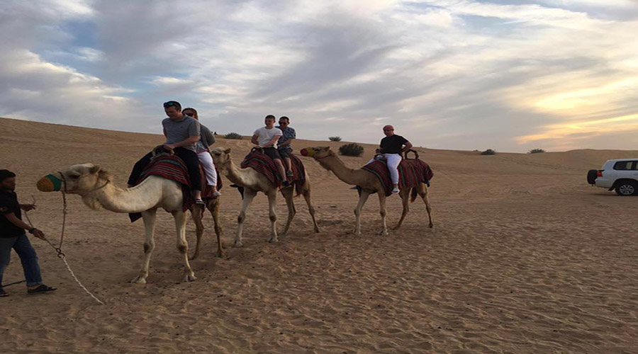 Camel Riding In Dubai 2021 Rayna Tours