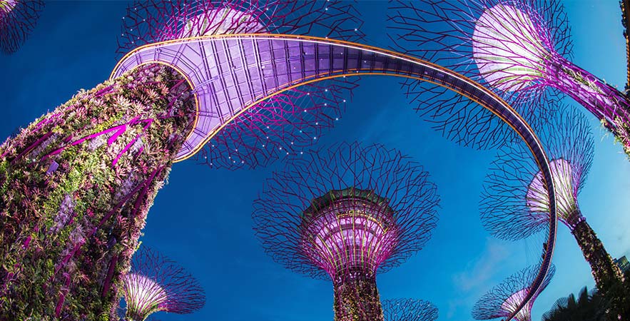 Singapore Gardens By The Bay Tickets And Day Tours