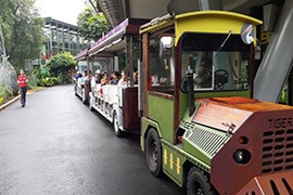 zoo with tram ride