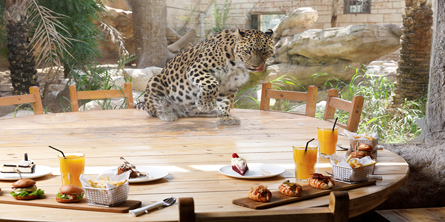 Emirates Zoo Ramadan 2018 Timings Abu Dhabi Information Portal