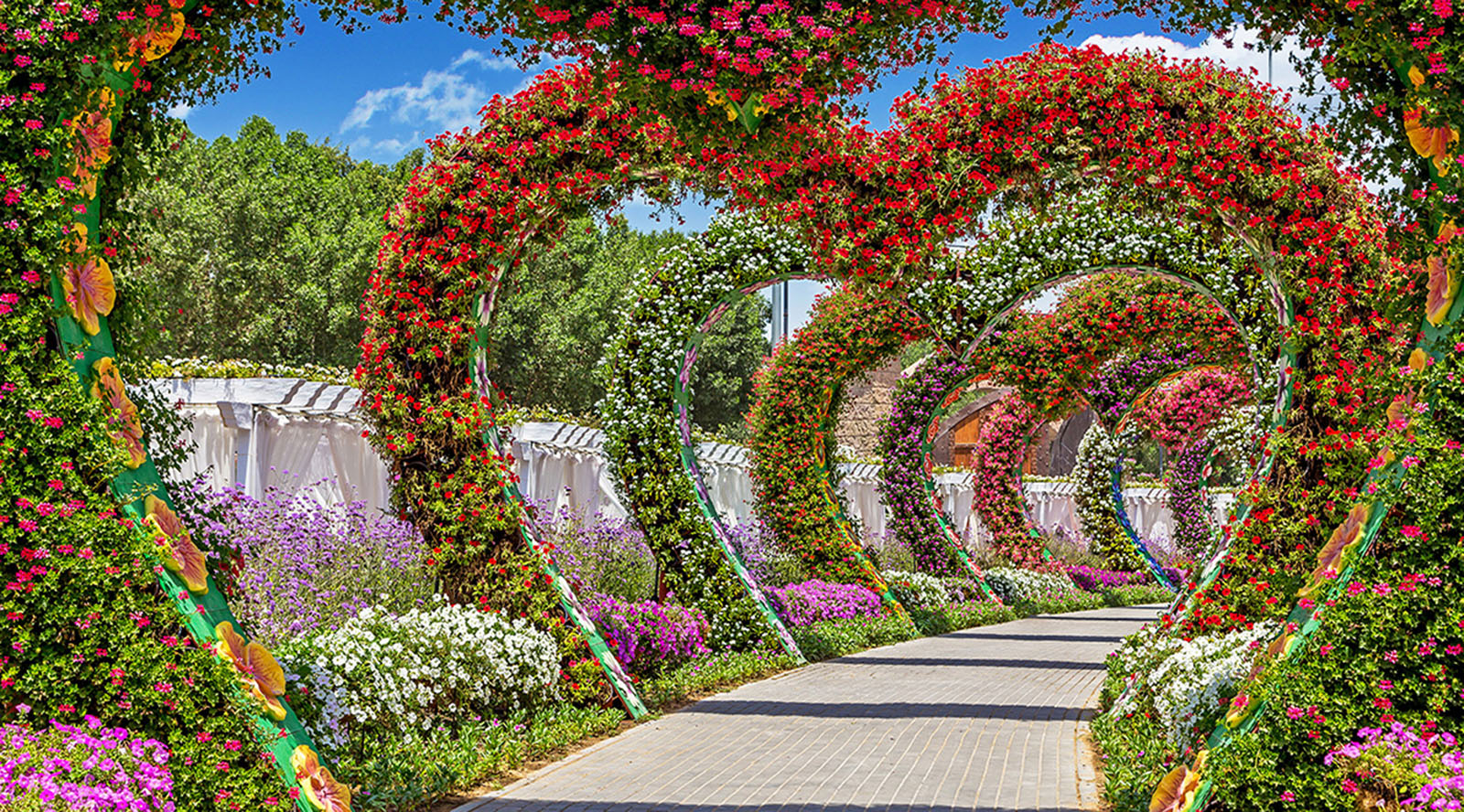 Dubai Miracle Garden Tickets Dubai Tours And Tickets