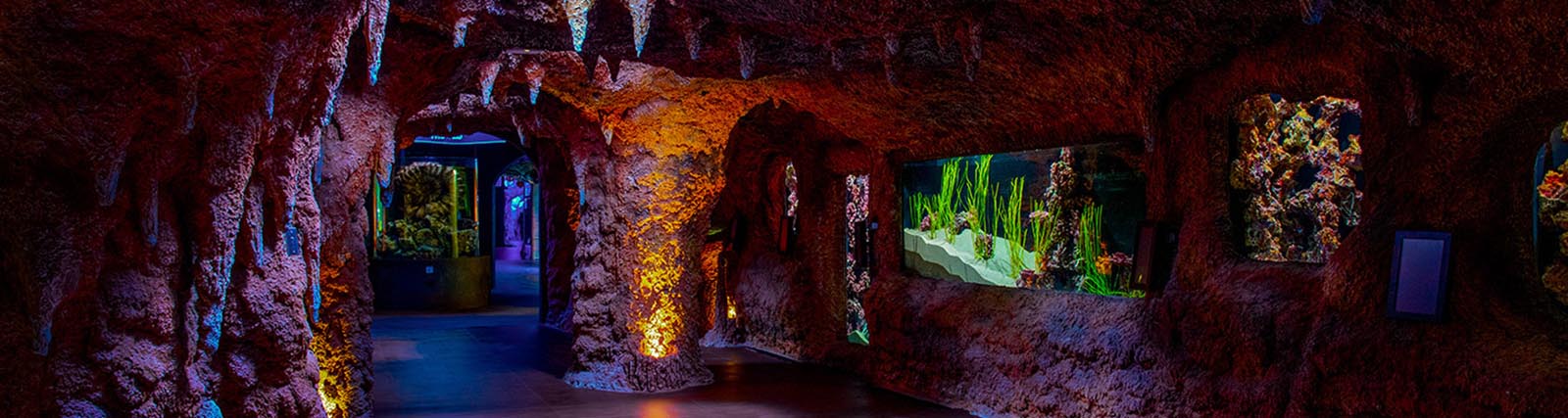 Aquarium-Abu-Dhabi-01