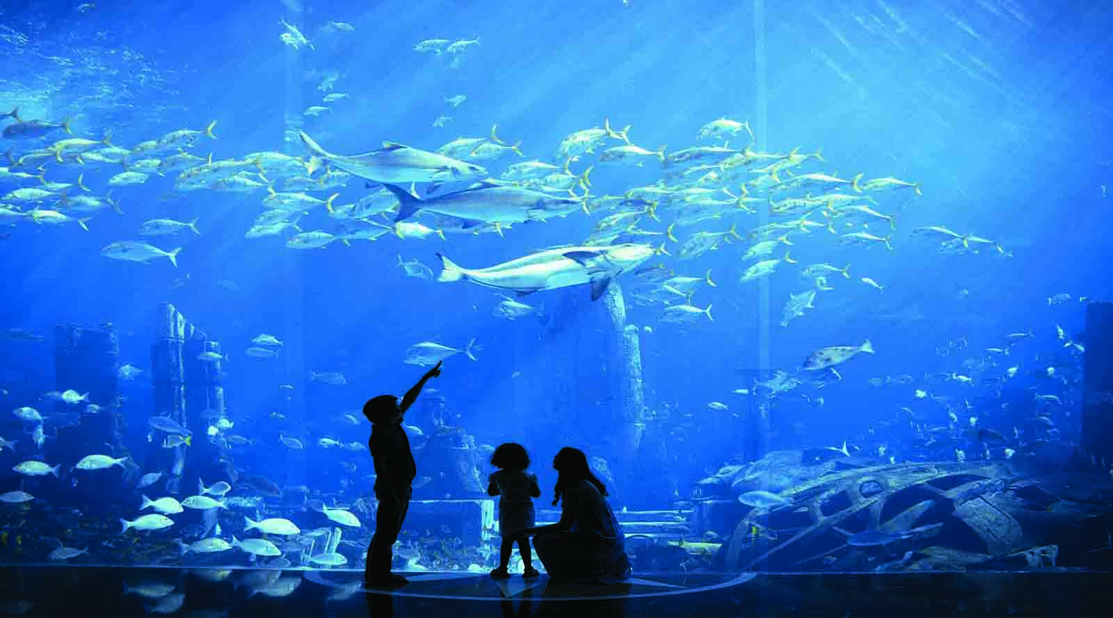 The Lost Chambers Aquarium Tickets Atlantis Tours