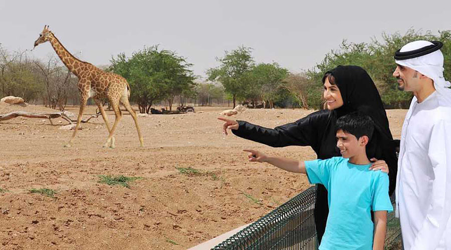 Al Ain Zoo Tickets