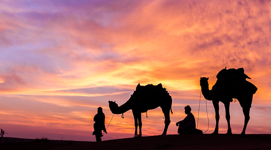 overnight-camel-riding