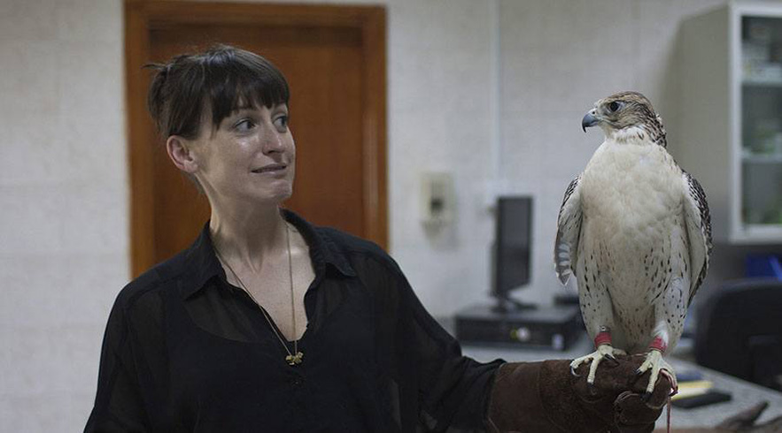 Falcon Tour Abu Dhabi