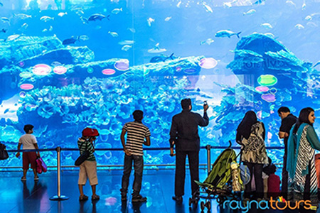 Dubai Mall Aquarium And Underwater Zoo Activities Timings