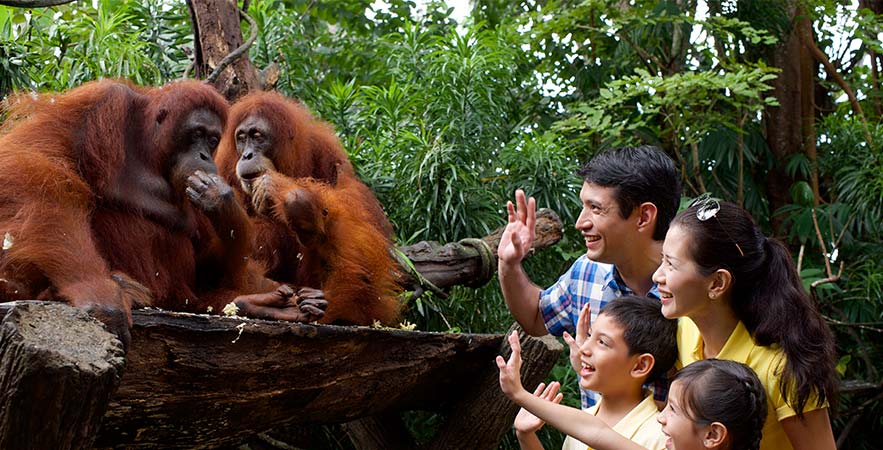 family in singapore zoo