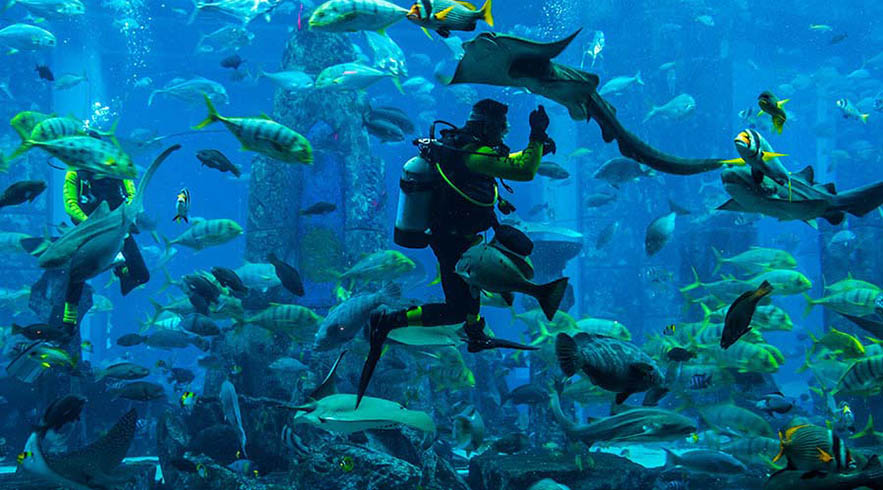scuba diving tour in dubai