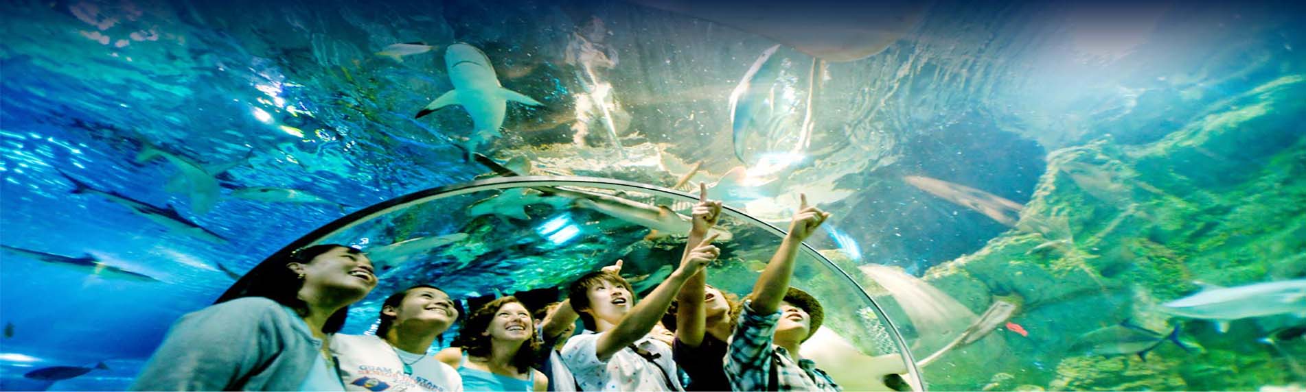 underwater-world-pattaya-discounted-tickets