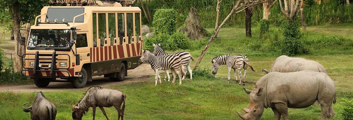 Dubai Safari Park - Best Offers on Tours & Tickets 2023