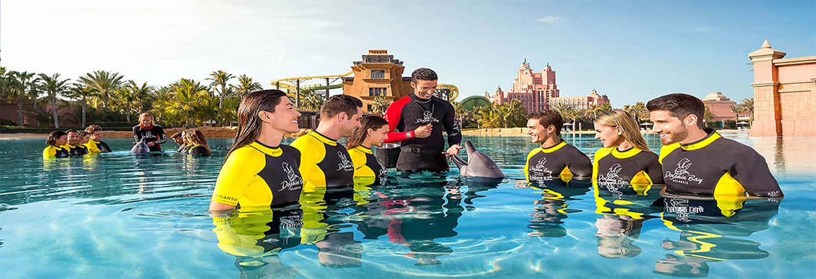 Dolphin Bay Atlantis Dubai Tickets 2023 - Atlantis Hotel Tours