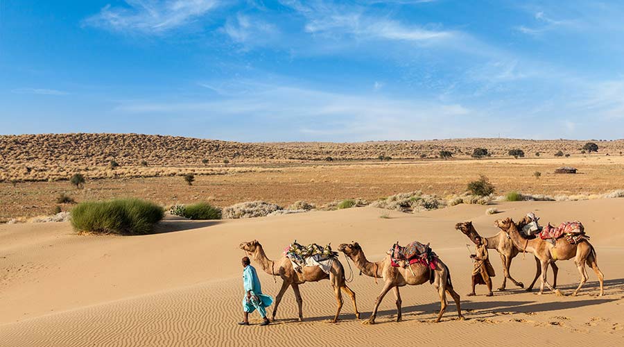 Morning Desert Safari Dubai 2022 | Rayna Tours